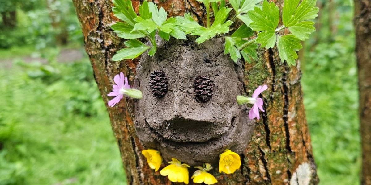Tees Valley Wildlife Trust's Magical Oak Tree